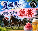 夏競馬・攻略済みの競馬予想ツールを提供します 中央の夏競馬は、回収率200%超　単勝一択！！ イメージ1