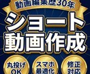 ショート動画をつくります 1995年から動画編集歴30年のショート動画製作 イメージ5