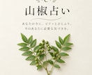 山椒占い/今のあなたに必要なメッセージを届けます なんとなくモヤモヤするあなたへ、ひと粒の気づきを イメージ1