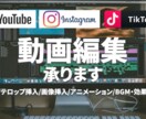 動画編集【YouTube・SNS】承ります ご要望に寄り添い丁寧に対応致します。 イメージ1