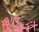 何でも聞きます 男女問わず何でも相談して下さい。 イメージ1