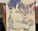 色鉛筆でペットの似顔絵ポストカード制作します 色鉛筆で雰囲気のある色味の似顔絵を描きます！ イメージ1