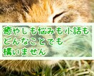 どんなお話でも、丁寧に聞きます カウンセリング技術を活かして、丁寧にじっくりお話を聞きます。 イメージ3