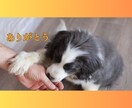 甘えたい本当の気持ち、私が受け止めます 一人で頑張りすぎてしまったあなたへ、話を聞かせてください。 イメージ10