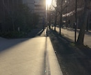 3日間あなたのお悩み、【霊視】相談承ります 〜光の道への進み方、お伝えします〜 イメージ2