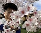 あなたのわがまま聞きます メンヘラ製造機です‼️あなたの理想の男性になりますよ☺︎ イメージ1