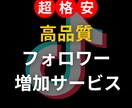 TikTokの高品質フォロワー1000人増やします 高品質なフォロワーをお届けさせていただきます！ イメージ1