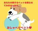笑顔を届けるペット動画を作成します 愛するペットが贈る心温まる笑顔の瞬間 イメージ1