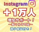 Instagramフォロワー1万人以上増やします ☆ゆっくり増加、複数アカウント振り分け可能！☆ イメージ1