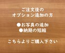 ご注文後のオプション追加 受けたまわります ご注文後にオプションを追加されたい方用です。 イメージ1
