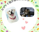 優しく伝わるYouTubeサムネ作成します 思わずクリックされる、やさしく伝わるサムネを作成します イメージ5
