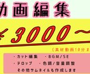 サムネイルも可！動画編集代行いたします あなたの時間コストを短縮するお手伝い イメージ1