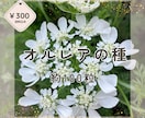メルカリ出品写真を丁寧に編集＆加工します 背景白抜きや明るさ調整、文字入れなど対応可能。 イメージ1