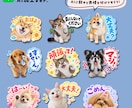 うちの子LINEスタンプ★AIで可愛くお作りします タメ語と敬語の32個セットです♪ イメージ1