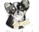 愛犬(チワワちゃん専門)の似顔絵描きます 記念日に我が子の絵を作ってみませんか？ イメージ4