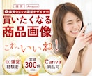 EC運営経験者が楽天・Amazon商品画像作ります 【Canva納品可】成果に繋げる洗練されたデザインをお届け イメージ1
