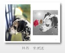 大切なペットとの思い出写真とメッセージを本にします 最高に可愛いペットとの思い出を、可愛い1冊の本に！ イメージ7