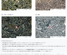 住所1つで公的データの不動産調査レポートを作ります 相場・災害・暮らしを15ページのPDFにまとめます イメージ5