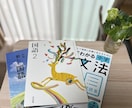 現在リピーター様限定　中学生の国語をサポートします 定期テスト対策をしっかりやっていきましょう。 イメージ1