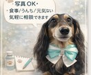 犬の体調・食事・生活の不安相談でき（写真OK）ます 大丈夫かな？と思った時のわんこの保健室です。 イメージ2