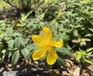 小学生＆中学生への数学を教えます 数学科卒業。早稲アカで小学生〜高校生まで数学を教えてました イメージ1