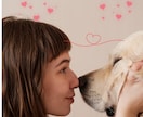 大切な家族のペットを遠隔ヒーリングで癒します エネルギーの状態を整えるお手伝いをハイヤーセルフと行います イメージ6