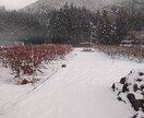 限界集落移住22年｜田舎暮らし相談ます 移住の不安・田舎生活の悩み、話してみませんか イメージ5