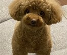 お話しを聞いて貴方を幸せにします 話しを聞いて幸せにする力を持っています❣️ イメージ2