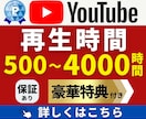 Youtube｜再生時間＋５００〜増加させます YouTube収益化｜30日間保証｜最短15分動画から対応！ イメージ1