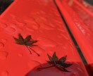風景写真を提供します 私の満足する写真をその一瞬をとらえたい イメージ4