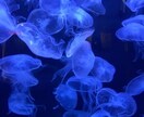 気軽になんでも聞きます 話しやすさ、内容なんでも、話内容厳守。 イメージ7