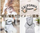 カメラマンによる商品画像の撮影代行を行います 商品画像撮影代行 1商品(10枚まで)　8000円 イメージ3