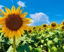 お話相手になります リラクゼーションの方法等アドバイスさせて頂ければなと思います イメージ1