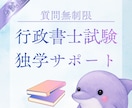 7日間無制限◆行政書士試験独学サポートいたします 独学で短期合格したノウハウ・モチベーション維持のアドバイス イメージ1