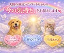 虹の橋を渡ったペットちゃんと繋がります 質問3件に答え、ペットちゃんからメッセージもいただきます イメージ1