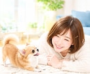 高齢者ケアの声かけ・拒否・食事介助一緒に整理します 高齢者対応の悩み/認知症対応相談/一緒に振り返ります☆ イメージ8