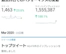 Twitterであなた様の商品を宣伝します 150万インプレッション保有の鷹の目が代わって宣伝します。 イメージ2