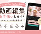 SNS用ショート動画を編集しますます 見やすくテンポ良く丁寧に編集します イメージ1
