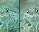 低画質の写真を高画質に甦らせます 画像サイズは更に大きく高解像度に、大切な思い出を鮮明に！ イメージ5