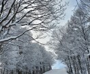 色で人生が決まる!貴女の悩みをカラーで解決します 恋愛や人間関係の悩みや不安をカラーで解決！もう悩まない！ イメージ9