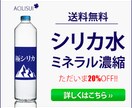 迅速丁寧！修正無制限！夢をかなえるバナー作成します お客様の希望に寄り添い、見る人の心をつかむデザインを創ります イメージ3