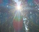 夜勤・不規則生活での愚痴・悩みの元を読み解きます 不規則生活の経験あり。否定せず安心して話せる居場所です イメージ1