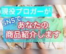 現役ブロガーがSNSで商品紹介します あなたの商品の魅力をしっかりお伝えします。 イメージ1