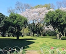 あなたの人生の話をじっくり聴き、一緒に考えます 一人で道を切り拓いてきたあなたと、次の一歩を対話で紡ぎます イメージ1