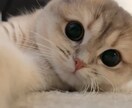 好きを話して、心もスッキリします この話誰かにしたい、その好き、ここで思いきり話してください。 イメージ5