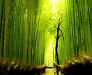 あなたのお話しに寄り添い、心の重みを軽くします あなたのお悩み、愚痴、世間話、人間関係どんな話も聞きますよ イメージ1