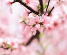 離婚に悩むあなたへ– 神託霊視で未来を照らします 離婚か修復か…霊視であなたの最善の未来を導きます イメージ4