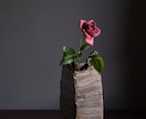 本格的な商品撮影を致します 決めの一枚、芸術的、独特な世界観を求められている方へ イメージ3