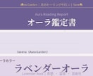 Serenaのオーラ＆チャクラ診断書をお届けします 診断結果をPDFでお届けします イメージ3