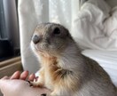 アフターサービス・ホームページの修正と変更します ホームページを作成して頂いたお客様専用《修正・変更をします》 イメージ1